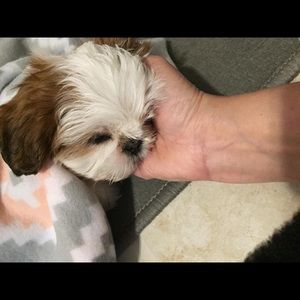 Meet your Posher, Jacob